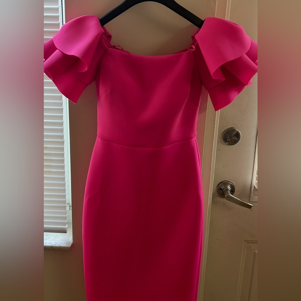 Elegant Pink Ruffle Sleeve Dress